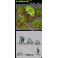 Plant Aztec
